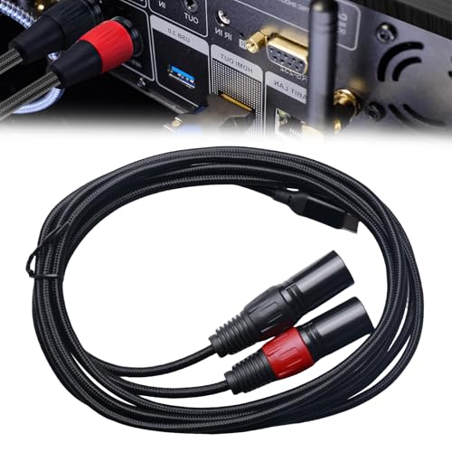 WIYETY USB C auf Dual XLR Mikrofonkabel: 2M Typ C Stecker auf XLR Stecker Stereo Verstärker, 32Bti/384Khz USB C Auf Dual Kabel Audio Stecker Kabel, Kompatibel mit PC Telefon Tablet von WIYETY