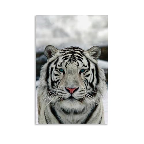 WJHJZQYY Majestätischer weißer Tiger, Wandkunst, Dekoration, dekoratives Wandbild, modernes Kunstposter, 60 x 90 cm WJHJZQYY Majestätischer weißer Tiger, Wandkunst, Dekoration, dekoratives Wandbild, modernes Kunstposter, 60 x 90 cm von WJHJZQYY