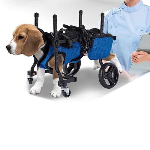 WJJKJH Hunderollstuhl Mit Voller Unterstützung – Mobilitätswagen Mit Vorder- Und Hinterrädern, Verbessert Die Mobilität Und Rehabilitation Von Hunden WJJKJH Hunderollstuhl Mit Voller Unterstützung – Mobilitätswagen Mit Vorder- Und Hinterrädern, Verbessert Die Mobilität Und Rehabilitation Von Hunden von WJJKJH