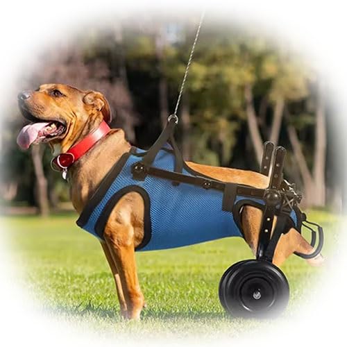 WJJKJH Hunderollstuhl for Die Hinterbeine, Rollstuhlwagen for Kleine Hunde Mit Rädern, Leichter Rollstuhl Zur Beinunterstützung Hilft Älteren, Verletzten Und Gelähmten Hunden(M) von WJJKJH