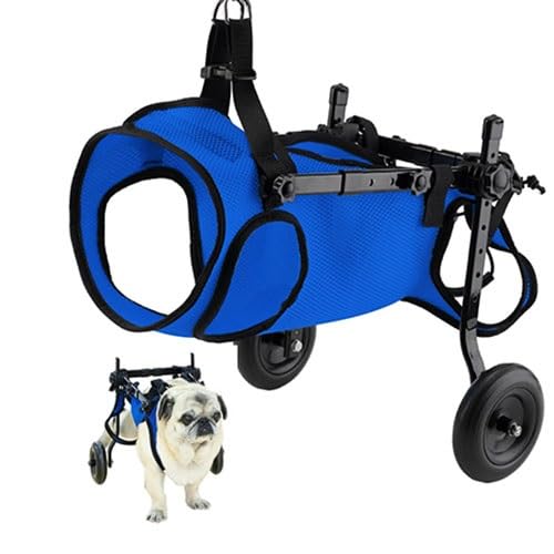 WJJKJH Verstellbarer Hunderollstuhl for Die Hinterbeine, Mobilitätshilfen for Haustiere Mit Rädern, Stütz- Und Hüftstütze, Gehhilfe for Hunde(XS) von WJJKJH