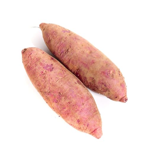 200 pcs süßkartoffel violett samen, herbal gartenarbeit exotische süsskartoffeln, küchenkräuter vegetable seeds bohnenkraut pflanze gemüsepflanzen balkonpflanzen winterhart gemüsepflanzen von WJKWY-Q