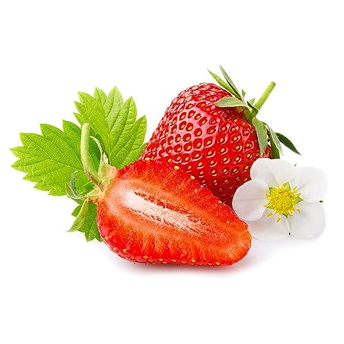 30 pcs erdbeeren samen balkon - kletterpflanzen für schatten erdbeer erdbeersamen,Fragaria ananassa, saatgut garden fensterbank deko innen bohnenkraut pflanze obstbäume hochbeete für von WJKWY-Q