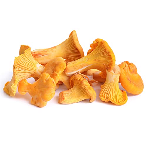 Pilze Mushroom Fungi Pilz Pfifferlinge Samen - GemüSesamen Saatgut GemüSe Alte GemüSesorten Samen Pflanzen Deko Pflanztopf Balkonpflanzen Winterhart Plant 300Stück von WJKWY-Q