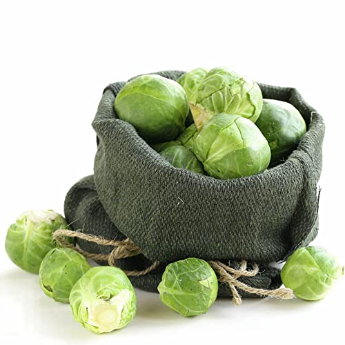 Rosenkohl Samen Bio,Brussels Sprout, Kleine Geschenke Kübelpflanzen Winterhart Mehrjährig Hochbeet Balkon Steingartenpflanzen Winterhart Ausgefallene Geschenke Balkon Garten 100 Stück von WJKWY-Q