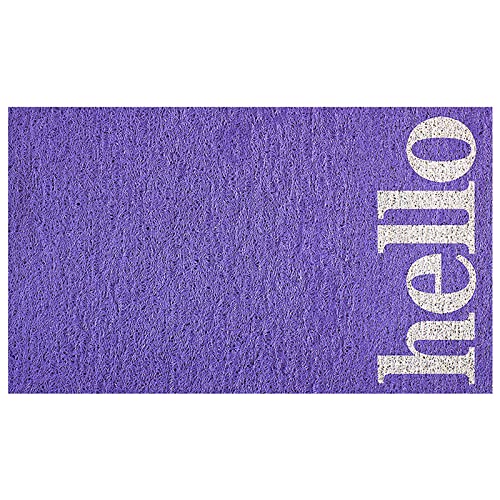 Kreative Fußmatte,Moderne Fußmatte für den Innenbereich,Einfarbige Willkommensmatte,Verschleißfest Umweltabsorbierend Pflegeleicht Hochbelastbare Fußmatte,Schmutzfangmatten (Violett,120x220cm) von WJXBoos