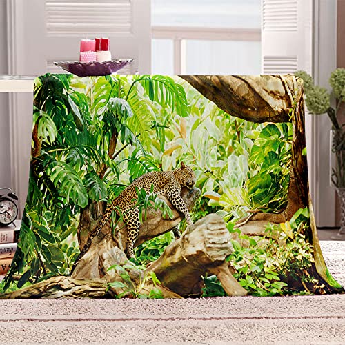 WJYMJJ Flanell Kuscheldecke Dschungel-Gepard hochwertige Wohndecke, super weiche Fleecedecke als Sofaüberwurf, Tagesdecke oder Wohnzimmerdecke 70x100 cm von WJYMJJ