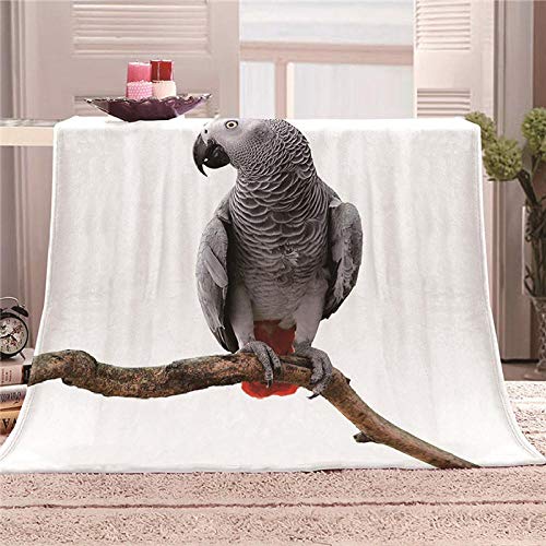 WJYMJJ Kuscheldecke Flanell Graupapagei Mikrofaser Sofadecke Weich Wärme Gemütlich Flanell Decke zum Baby Kinder 180x220 cm WJYMJJ Kuscheldecke Flanell Graupapagei Mikrofaser Sofadecke Weich Wärme Gemütlich Flanell Decke zum Baby Kinder 180x220 cm von WJYMJJ