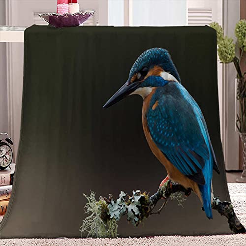 WJYMJJ Wohndecke Blauer Eisvogel Flanell mikrofaser kuscheldecke Weich Warmes Flausch Sofadecke, Für Betten und Sofas 150x200 cm von WJYMJJ