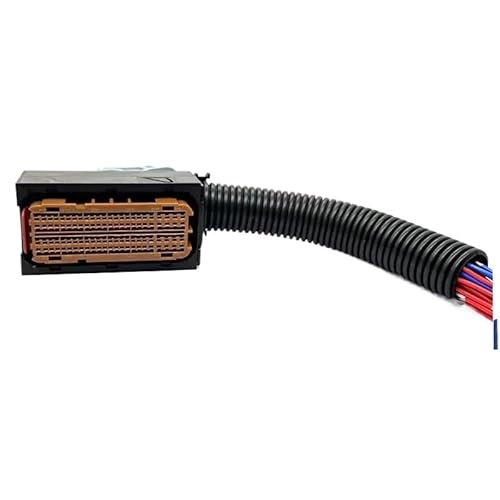 96 Pin 13964572 Motor Computer-Board Stecker Kabelbaum Buchse(1S) von WKEWANG