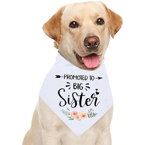 WKRTDY 1 Stück Schwangerschafts Ankündigungs-Hundebandana Große Schwester Haustier-Bandana & Foto-Requisite - Hunde-Bandana für Haustiere - Hunde lieben Geschenke WKRTDY 1 Stück Schwangerschafts Ankündigungs-Hundebandana Große Schwester Haustier-Bandana & Foto-Requisite - Hunde-Bandana für Haustiere - Hunde lieben Geschenke von WKRTDY