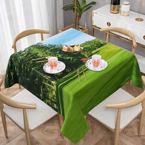 WKSGDSG Farmhouse-Tischdecken für quadratische Tische, Golfplatz-Rasentischdecken für drinnen und draußen, abwischbar, waschbar, weiche Polyester-Tischdecke für Küche, Party, Bankett, Heimdekoration WKSGDSG Farmhouse-Tischdecken für quadratische Tische, Golfplatz-Rasentischdecken für drinnen und draußen, abwischbar, waschbar, weiche Polyester-Tischdecke für Küche, Party, Bankett, Heimdekoration von WKSGDSG