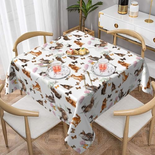 WKSGDSG Farmhouse-Tischdecken für quadratische Tische, Katzen- und Schmetterlings-Tischdecken für drinnen und draußen, abwischbar, waschbar, weiche Polyester-Tischdecke für Küche, Party, Bankett WKSGDSG Farmhouse-Tischdecken für quadratische Tische, Katzen- und Schmetterlings-Tischdecken für drinnen und draußen, abwischbar, waschbar, weiche Polyester-Tischdecke für Küche, Party, Bankett von WKSGDSG