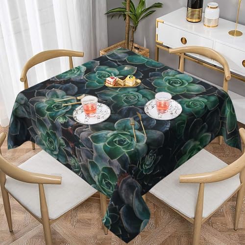 WKSGDSG Farmhouse-Tischdecken für quadratische Tische, grüne Sukkulenten-Tischdecken für drinnen und draußen, abwischbar, waschbar, weiche Polyester-Tischdecke für Küche, Party, Bankett WKSGDSG Farmhouse-Tischdecken für quadratische Tische, grüne Sukkulenten-Tischdecken für drinnen und draußen, abwischbar, waschbar, weiche Polyester-Tischdecke für Küche, Party, Bankett von WKSGDSG