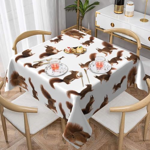 WKSGDSG Farmhouse-Tischdecken für quadratische Tische, niedliche Eichhörnchen, Tischdecke für drinnen und draußen, abwischbar, waschbar, weiche Polyester-Tischdecke für Küche, Party, Bankett WKSGDSG Farmhouse-Tischdecken für quadratische Tische, niedliche Eichhörnchen, Tischdecke für drinnen und draußen, abwischbar, waschbar, weiche Polyester-Tischdecke für Küche, Party, Bankett von WKSGDSG
