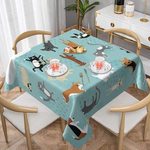 WKSGDSG Farmhouse-Tischdecken für quadratische Tische, regnende Katzen und Hunde, Tischdecke für drinnen und draußen, abwischbar, waschbar, weiche Polyester-Tischdecke für Küche, Party, Bankett WKSGDSG Farmhouse-Tischdecken für quadratische Tische, regnende Katzen und Hunde, Tischdecke für drinnen und draußen, abwischbar, waschbar, weiche Polyester-Tischdecke für Küche, Party, Bankett von WKSGDSG