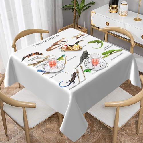 WKSGDSG Farmhouse-Tischdecken für quadratische Tische, verschiedene Arten von Eidechsen-Tischdecken für drinnen und draußen, abwischbar, waschbar, weiche Polyester-Tischdecke für Küche, Party, Bankett WKSGDSG Farmhouse-Tischdecken für quadratische Tische, verschiedene Arten von Eidechsen-Tischdecken für drinnen und draußen, abwischbar, waschbar, weiche Polyester-Tischdecke für Küche, Party, Bankett von WKSGDSG