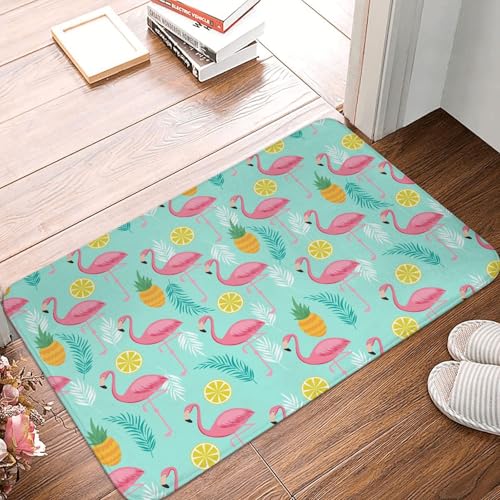 WKSGDSG Rutschfeste Flanell-Fußmatte, 60 x 40 cm, super saugfähig, Flamingo-Fußmatten, rutschfest, dick, Willkommensmatte für Vorder- und Hintertür, Garage, Terrasse und Innenbereich von WKSGDSG