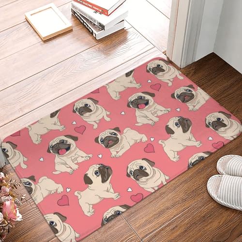 WKSGDSG Rutschfeste Flanell-Fußmatte, 60 x 40 cm, super saugfähiger Eingangsteppich, Hunde-Fußmatten, rutschfest, dick, Willkommensmatte für Vorder- und Hintertür, Garage, Terrasse und Innenbereich WKSGDSG Rutschfeste Flanell-Fußmatte, 60 x 40 cm, super saugfähiger Eingangsteppich, Hunde-Fußmatten, rutschfest, dick, Willkommensmatte für Vorder- und Hintertür, Garage, Terrasse und Innenbereich von WKSGDSG