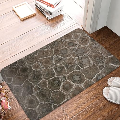 WKSGDSG Rutschfeste Flanell-Fußmatte, 60 x 40 cm, super saugfähiger Eingangsteppich, Petoskey-Stein-Fußmatten, rutschfeste, dicke Willkommensmatte für Vorder- und Hintertür, Garage, Terrasse und von WKSGDSG