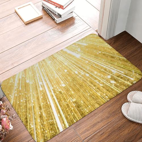 WKSGDSG Rutschfeste Flanell-Fußmatte, 60 x 40 cm, super saugfähiger Eingangsteppich, goldfarbene Glitzer-Fußmatten, rutschfeste, dicke Willkommensmatte für Vorder- und Hintertür, Garage, Terrasse und von WKSGDSG