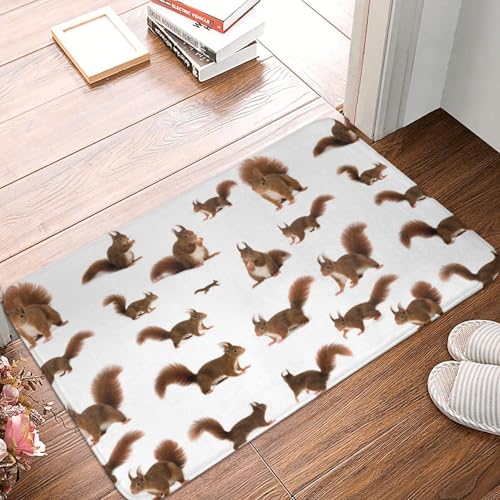 WKSGDSG Rutschfeste Flanell-Fußmatte, 60 x 40 cm, super saugfähiger Eingangsteppich, niedliche Eichhörnchen, rutschfeste dicke Willkommensmatte für Vorder- und Hintertür, Garage, Terrasse und von WKSGDSG
