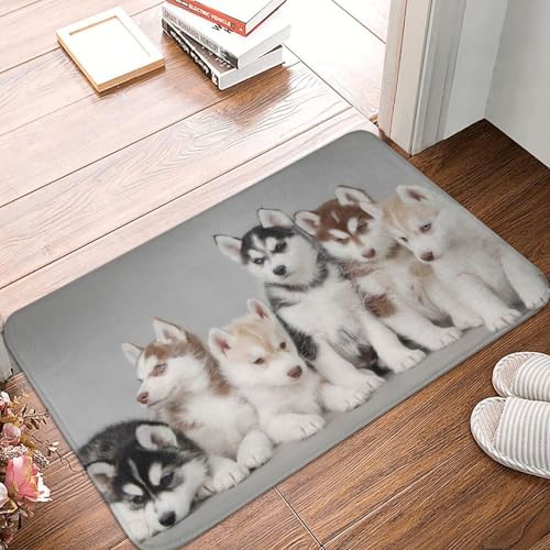 WKSGDSG Rutschfeste Flanell-Fußmatte, 60 x 40 cm, super saugfähiger Eingangsteppich, schöne Hunde-Fußmatten, rutschfest, dick, Willkommensmatte für Vorder- und Hintertür, Garage, Terrasse und WKSGDSG Rutschfeste Flanell-Fußmatte, 60 x 40 cm, super saugfähiger Eingangsteppich, schöne Hunde-Fußmatten, rutschfest, dick, Willkommensmatte für Vorder- und Hintertür, Garage, Terrasse und von WKSGDSG