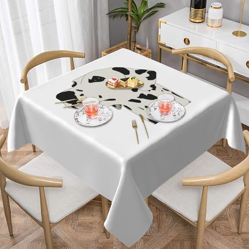 WKSGDSG Wasserdichte quadratische Tischdecke, 152 x 152 cm, auslaufsicher und knitterfrei, dekorative Tischdecke für Esstisch, Küche, Party, Dalmatiner-Tischdecken für Esszimmer WKSGDSG Wasserdichte quadratische Tischdecke, 152 x 152 cm, auslaufsicher und knitterfrei, dekorative Tischdecke für Esstisch, Küche, Party, Dalmatiner-Tischdecken für Esszimmer von WKSGDSG