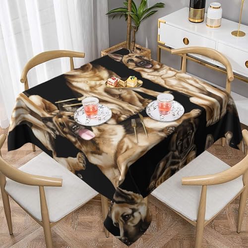 WKSGDSG Wasserdichte quadratische Tischdecke, 152 x 152 cm, auslaufsicher und knitterfrei, dekorative Tischdecke für Esstisch, Küche, Party, Deutscher Schäferhund, Tischdecken für Esszimmer von WKSGDSG