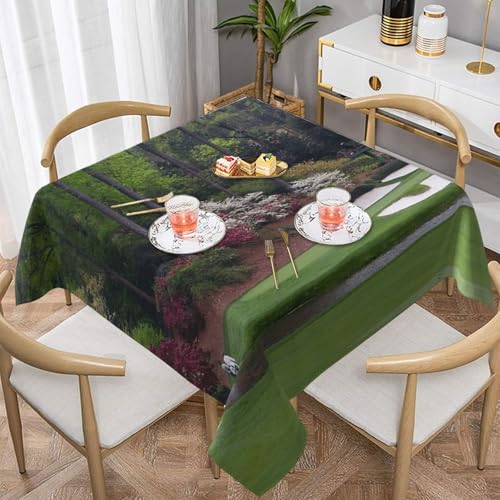 WKSGDSG Wasserdichte quadratische Tischdecke, 152 x 152 cm, auslaufsicher und knitterfrei, dekorative Tischdecke für Esstisch, Küche, Party, Golfplatz-Tischdecken für Esszimmer WKSGDSG Wasserdichte quadratische Tischdecke, 152 x 152 cm, auslaufsicher und knitterfrei, dekorative Tischdecke für Esstisch, Küche, Party, Golfplatz-Tischdecken für Esszimmer von WKSGDSG