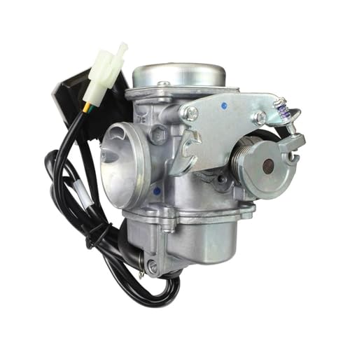 Für Wh100 Für Lead 100 100Cc PD20J 4-Takt-Roller ATV Motorrad Vergaser Motorrad Vergaser von WKXTECZT