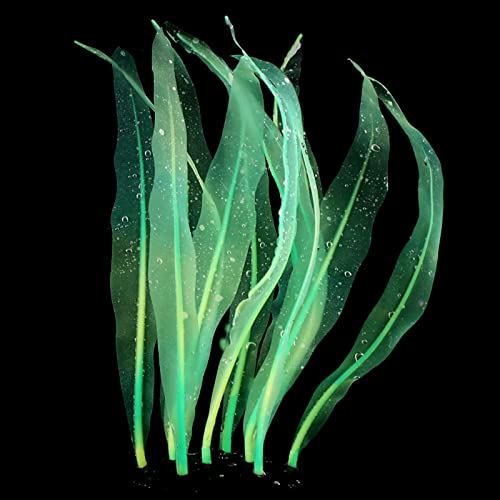 WKabnkn Aquariumdekoration Simulation Silikon Kelp Realistische Künstliche Seetangbewegungen Mit Wasserverzier Für Fischtanks Silikon Seetang Aquarium Pflanzen Kelp Realistische Fischtanks Ornament WKabnkn Aquariumdekoration Simulation Silikon Kelp Realistische Künstliche Seetangbewegungen Mit Wasserverzier Für Fischtanks Silikon Seetang Aquarium Pflanzen Kelp Realistische Fischtanks Ornament von WKabnkn