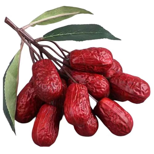 WKabnkn Künstliche Reddates Realistisches Jujube Ornament Simuliertes Getrocknetes Nussmodell Für Handwerks Und Fotomoden Bürodekorationen Künstliche Nuss WKabnkn Künstliche Reddates Realistisches Jujube Ornament Simuliertes Getrocknetes Nussmodell Für Handwerks Und Fotomoden Bürodekorationen Künstliche Nuss von WKabnkn