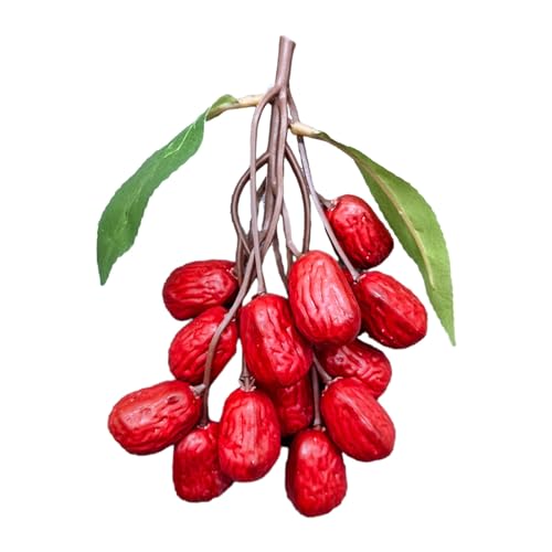 WKabnkn Künstliche Reddates Realistisches Jujube Ornament Simuliertes Getrocknetes Nussmodell Für Handwerks Und Fotomoden Bürodekorationen Künstliche Nuss WKabnkn Künstliche Reddates Realistisches Jujube Ornament Simuliertes Getrocknetes Nussmodell Für Handwerks Und Fotomoden Bürodekorationen Künstliche Nuss von WKabnkn