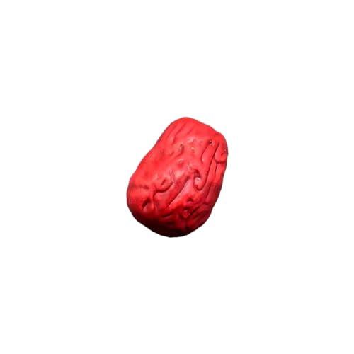 WKabnkn Künstliche Reddates Realistisches Jujube Ornament Simuliertes Getrocknetes Nussmodell Für Handwerks Und Fotomoden Bürodekorationen Künstliche Nuss WKabnkn Künstliche Reddates Realistisches Jujube Ornament Simuliertes Getrocknetes Nussmodell Für Handwerks Und Fotomoden Bürodekorationen Künstliche Nuss von WKabnkn