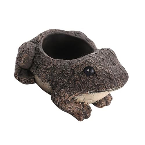 WKabnkn Landschaftsanlagenhalter 15x9.5 Cm/14x10 cm Blütenanordnung Wasserdicht Für Erdbeer Kleine Pflanzenheimdekorationen Innenräume Freien Freien Pflanzer von WKabnkn