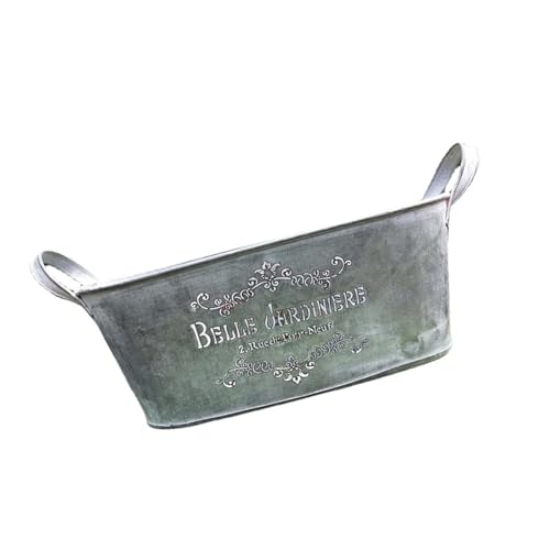 WKabnkn Pflanzer Vintage Garten Dekoration Dekorative Geschenk Metall Pflanzer Blumenpot Für Balkon Wohnzimmer Schlafzimmer Yard Dekorative Metalleimer Für Pflanzen von WKabnkn
