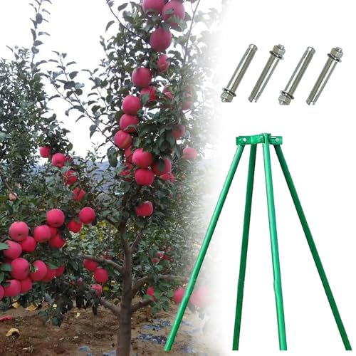 WLCGYD Baumpfähle Obstbaumstütze - Pfahlsysteme, 10 20 30 40 cm Durchmesser Baumbegradigungsset Für Schiefe Bäume, Baumwachstumsstützpfahl(Dia 30cm (11 4/5in),1.2m/3.9ft) von WLCGYD