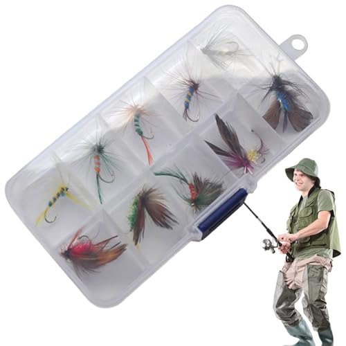 WLH Alexanders Fliegenfischen Haken Fliegen Sortiment Mit 10 Stück Köder Haken Tragbare Kit Mit Haken for Angler Ausrüstung von WLH Alexanders