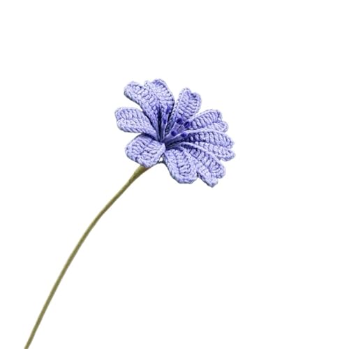 WLIHDB HäKelstrauß 6 stücke Häkeln Blumen Hausgemachte Gestrickte Simulation Blume Fertig Hause Hochzeit FüR Geburtstag Hochzeit(Color2) von WLIHDB