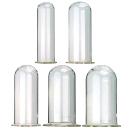 WLKJPP 5 Stück S/M/L/XL/XXL Hohl Glas Butt Plug Set Offener Analtunnel Anus Dilatator Hohlstecker Dildo Anal Plug Sex Spielzeug für Frauen Mann Homosexuell Peep Vaginal Anal stecker WLKJPP 5 Stück S/M/L/XL/XXL Hohl Glas Butt Plug Set Offener Analtunnel Anus Dilatator Hohlstecker Dildo Anal Plug Sex Spielzeug für Frauen Mann Homosexuell Peep Vaginal Anal stecker von WLKJPP