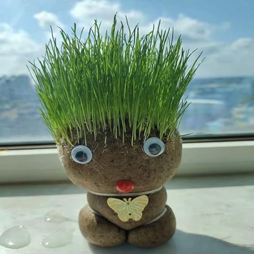 WLTY Kreatives Geschenk Graskopf Puppe Grow Bag Bürotisch Strahlungsfest Topfpflanze Gartenbedarf Kind Pflanztasche Blumentopf von WLTY
