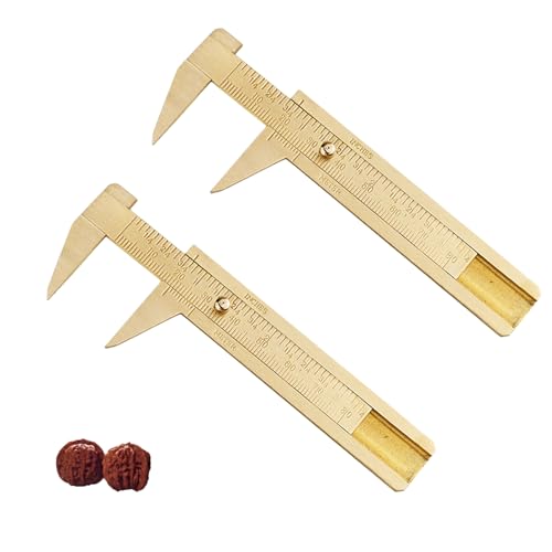 2 Stück Messschieber,Schieblehre,Messschieber Analog,Schieblehre Analog,Mini Schiebelehre,Messchieber Klein,Vernier Caliper,Messlehre Messing,Doppelmaßstab Lineal Messwerkzeug (Double Scale 100mm) von WLVinson