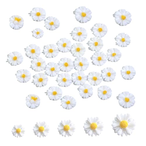 50 Stück Gänseblümchen Deko,9/13/17/22/26mm Gänseblümchen Kostüm,Resin Daisy,Mini Streudeko Frühling,Miniatur Blumen,Streublumen,Künstlich Gänseblümchen Tortendeko,DIY Handwerk Dekoration Home Möbel 50 Stück Gänseblümchen Deko,9/13/17/22/26mm Gänseblümchen Kostüm,Resin Daisy,Mini Streudeko Frühling,Miniatur Blumen,Streublumen,Künstlich Gänseblümchen Tortendeko,DIY Handwerk Dekoration Home Möbel von WLVinson