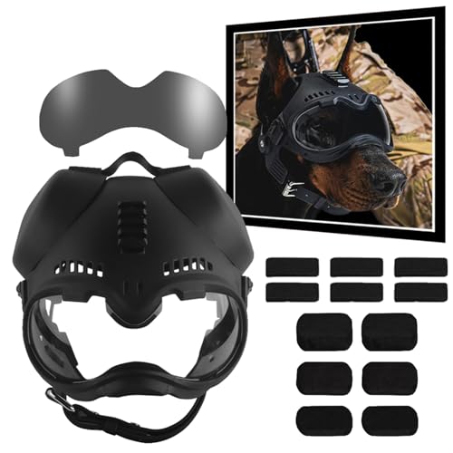 WLXW Hundehelm Und Schutzbrille Mit Ohrenschützern, Ohrlöchern, Verstellbarem Schutzhelm, Transparenter Brille Und Schwarzer Sonnenbrille for Mittelgroße(CB) von WLXW