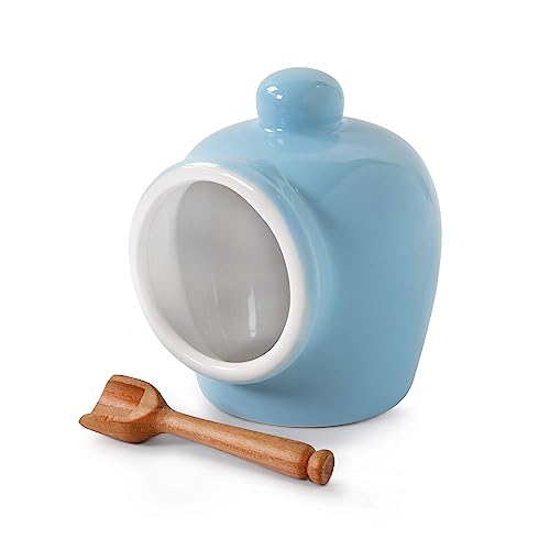 Wm Bartleet & Sons Traditionelles Salzschwein aus Porzellan mit Holz-Salz-Servierlöffel, Blau Wm Bartleet & Sons Traditionelles Salzschwein aus Porzellan mit Holz-Salz-Servierlöffel, Blau von WM Bartleet & Sons 1750