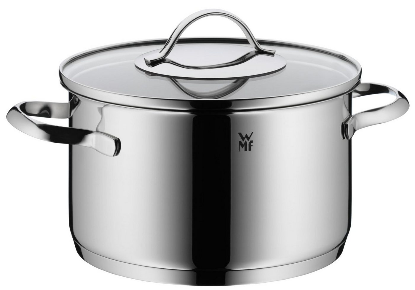 WMF Fleischtopf Aparto, Cromargan Edelstahl Rostfrei 18/10 (1-tlg., großer Topf (20 cm) mit Glasdeckel, Induktion 3,3l), unbeschichtet, induktionsgeeignet von WMF