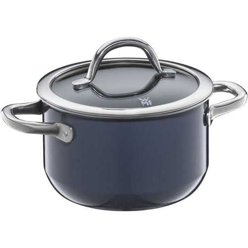 WMF Fusiontec Inspire Kochtopf klein 16 cm Glasdeckel, Fleischtopf Induktion, 1,3l, kleiner Topf Kochtopf klein, High-Tech Keramik, kratzfest, unbeschichtet, dunkelblau, Made in Germany von WMF