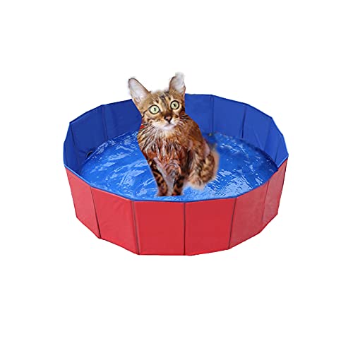 Faltbar Hundepool, Hund Schwimmbad Umweltfreundliche PVC rutschfest Planschbecken mit Ablassventil Sommer Schwimmbad Schwimmbecken Für Hund Katze (50 * 8cm(19.68 * 3.15'')) von WMLBK