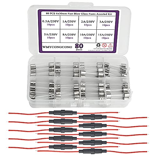 WMYCONGCONG 10 STÜCKE 6 x 30 mm Sicherungshalter Inline Schraube Typ 20 AWG + 80 STÜCKE 6 x 30 mm Flinke Glassicherungen Flinke Autoglasrohrsicherungen Sortimentssatz von WMYCONGCONG